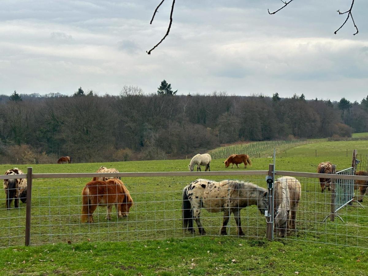 Bungalowpark Landsrade Gulpen Eksteriør bilde